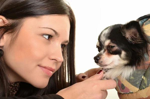 Ragazza in posa in studio con il suo piccolo cane — Foto Stock