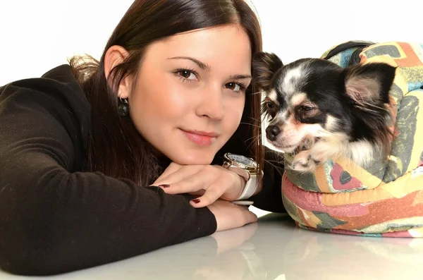 그녀의 작은 강아지와 함께 스튜디오에서 포즈를 취하는 여자 — 스톡 사진