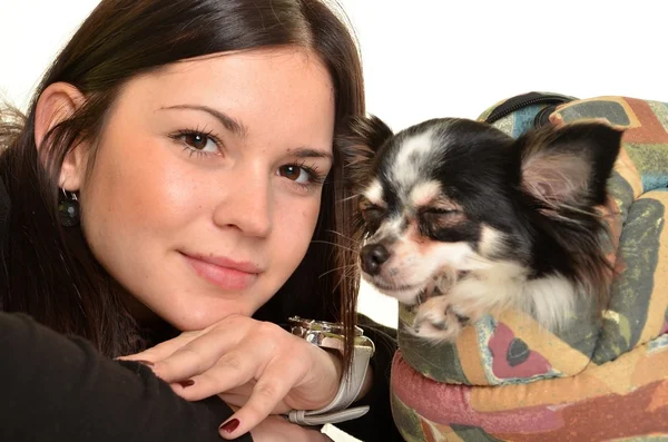 Chica posando en el estudio con su pequeño perro —  Fotos de Stock