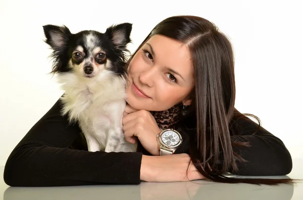 그녀의 작은 강아지와 함께 스튜디오에서 포즈를 취하는 여자 — 스톡 사진