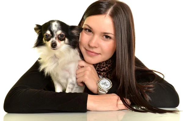 Ragazza in posa in studio con il suo piccolo cane — Foto Stock