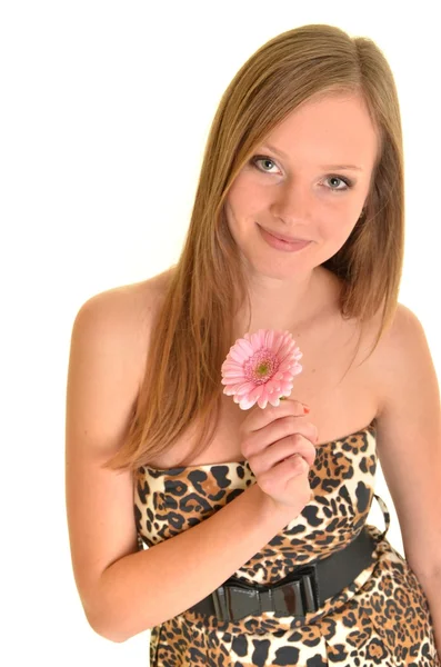 Hermosa mujer joven con gerber flor aislada sobre fondo blanco —  Fotos de Stock