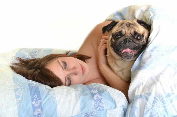 Жінка з мопсом в ліжку — стокове фото
