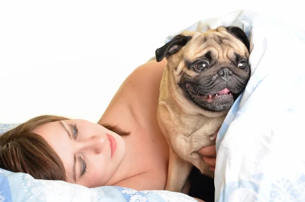 Жінка з мопсом в ліжку — стокове фото