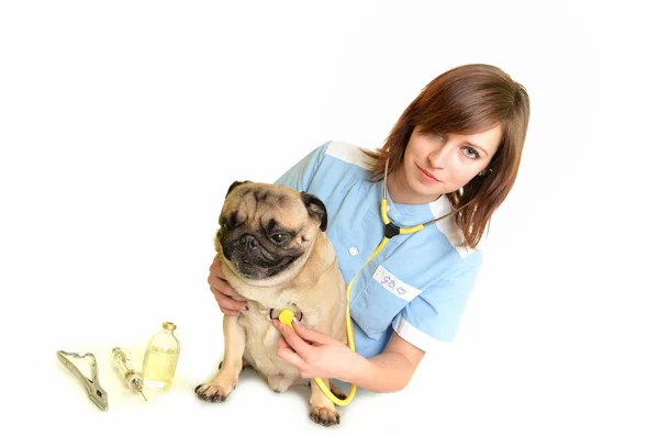 Veterinarian doctor with dog — Stock Photo, Image