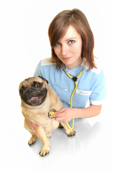 Medico veterinario con cane — Foto Stock