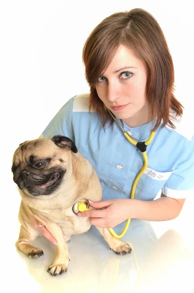 Ветеринарний лікар з собакою — стокове фото