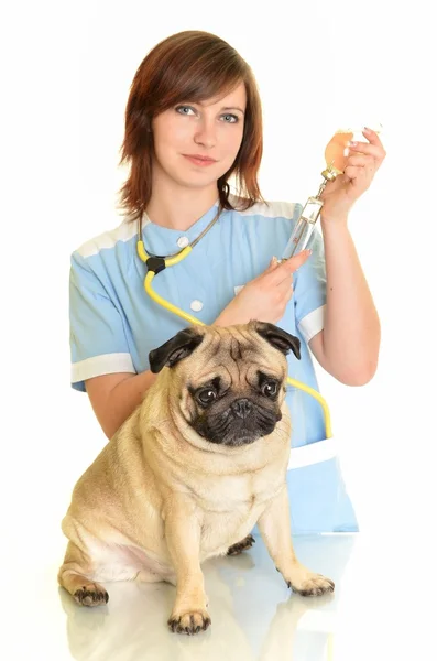 Lekarz weterynarii z psem — Zdjęcie stockowe