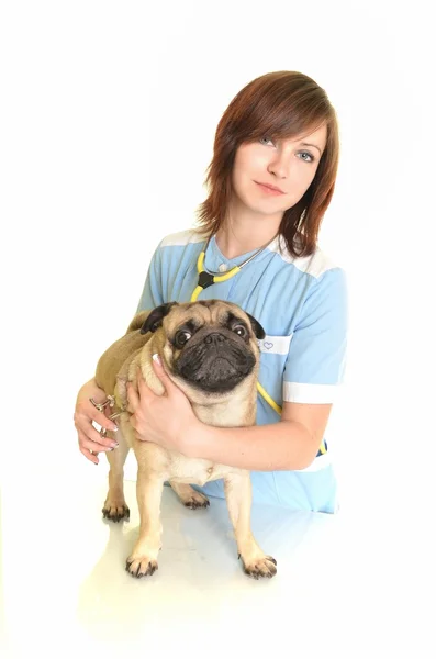 Médecin vétérinaire avec chien — Photo