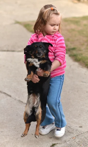 Kislány kutyával — Stock Fotó