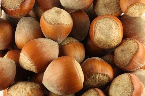 Handvol hout noten — Stockfoto