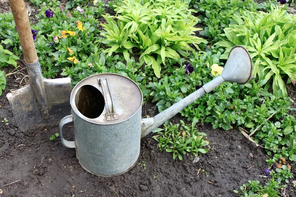 Лопата и лейка в весеннем саду — стоковое фото