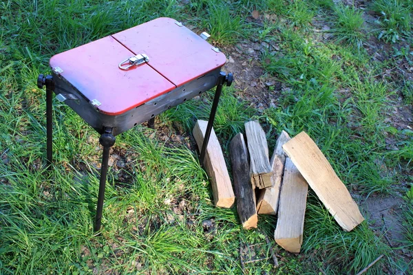 Churrasco e madeira na grama verde — Fotografia de Stock