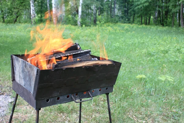 Spalování dřeva v pánev — Stock fotografie