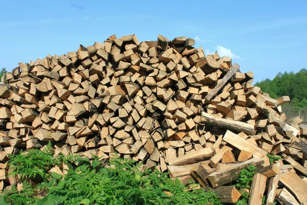 Dużo drewna opałowego — Zdjęcie stockowe