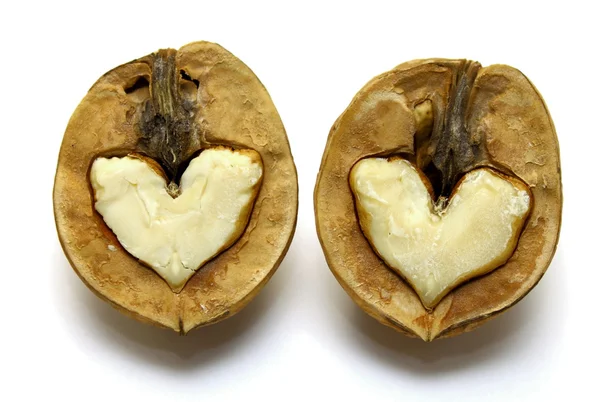 stock image Two nuts with abstract hearts for Valentine's Day