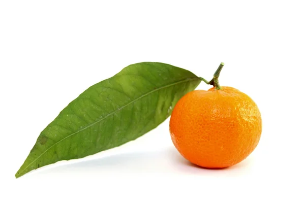 Mandarina suculenta com folha verde — Fotografia de Stock