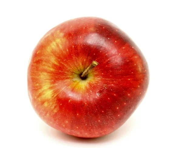 Suculento maçã vermelha no fundo branco — Fotografia de Stock
