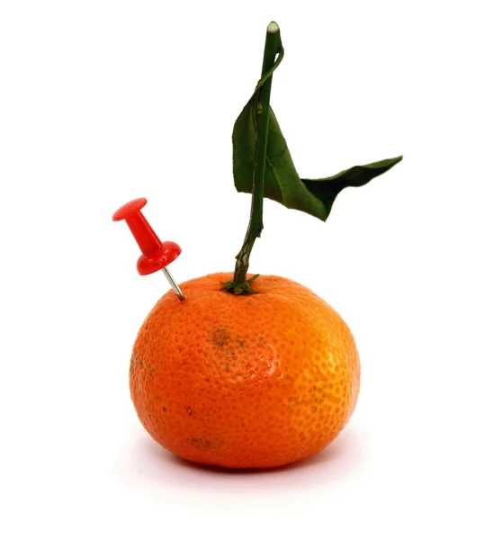 Soyut mandarin ve düğme — Stok fotoğraf
