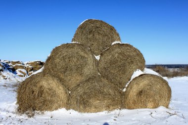 The yield of hay in the winter clipart