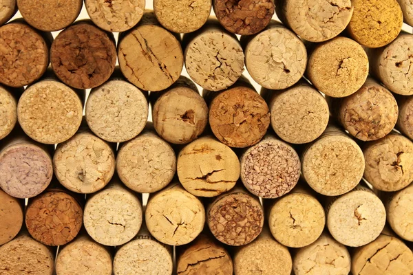 많은 와인 corks — 스톡 사진