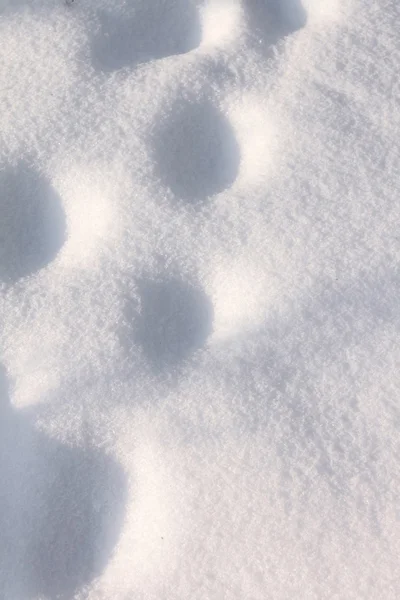 La belle texture de la neige — Photo