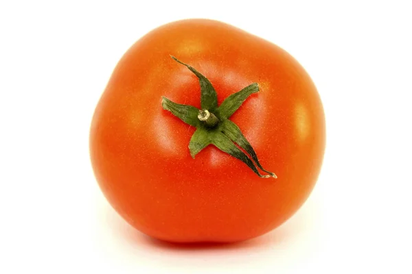 Tomate vermelho suculento em um fundo branco — Fotografia de Stock