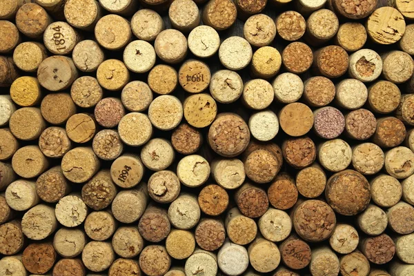 Un montón de tapones de vino — Foto de Stock
