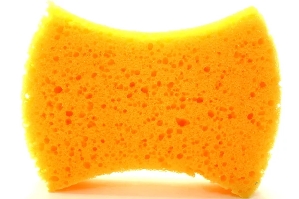 Vacker gul svamp — Stockfoto