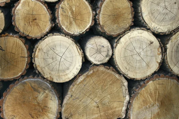 Existência de madeira — Fotografia de Stock
