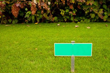 Green grass with a sign and a bush, horizontal shot clipart