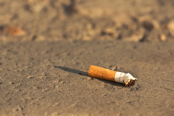 Stock image Cigarette fag thrown in the city