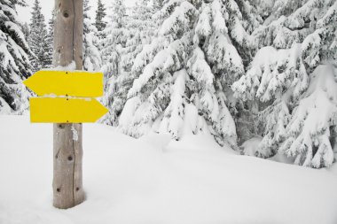 snowy orman yön işaretleri