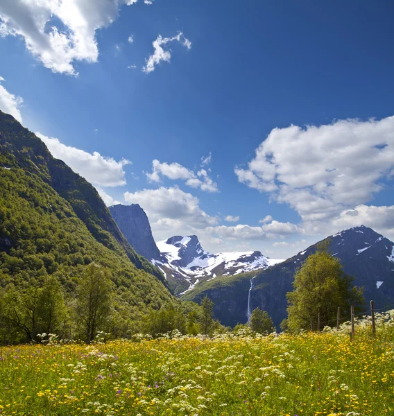 Vale da montanha na Noruega — Fotografia de Stock