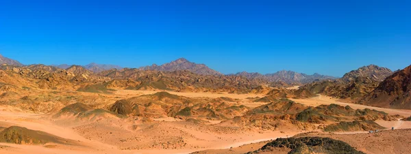 西奈沙漠视图 — 图库照片