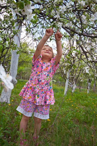 Kleines Mädchen im blühenden Garten — Stockfoto