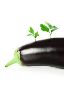 maydanoz ile süslenmiş patlıcan