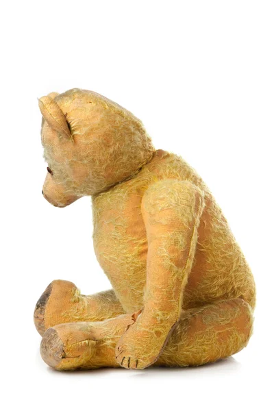 stock image Sad old bear