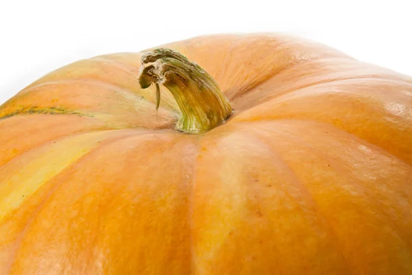 stock image Pumpkin close up