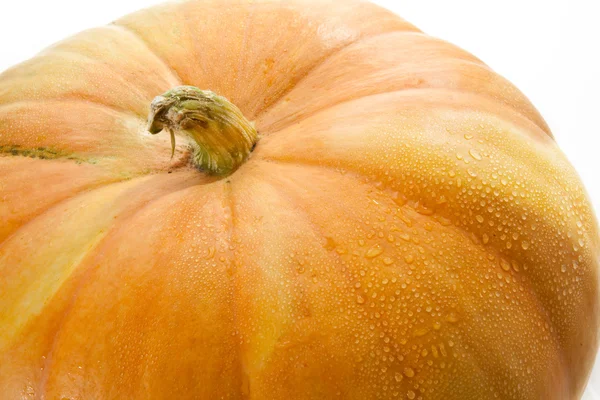 stock image Perfect fresh pumpkin