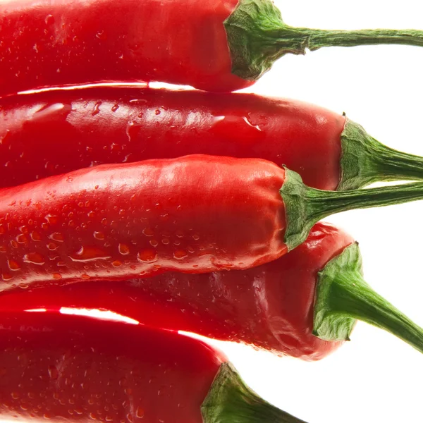 Hot pepper close-up — Stok fotoğraf
