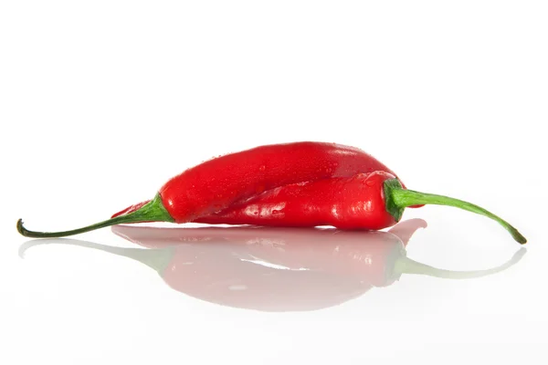 Pár chilli papriček — Stock fotografie