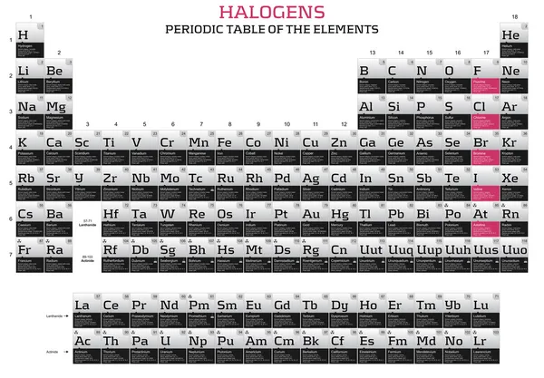 Halogéneos na tabela periódica dos elementos — Fotografia de Stock