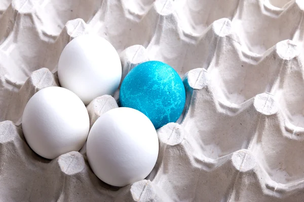 Paskalya eşsiz mavi yumurta — Stok fotoğraf