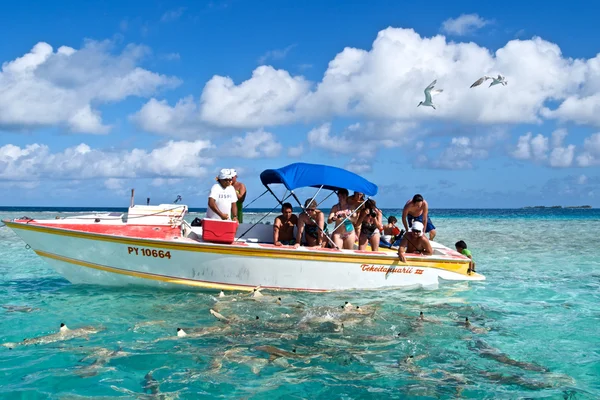 Голубая лагуна и лодка Поти-Марара — стоковое фото