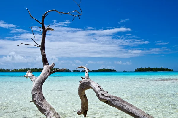 Baía da ilha de Rurutu — Fotografia de Stock