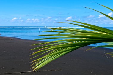 Tahiti Adası