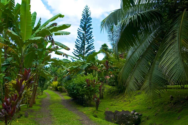 stock image Tahiti island