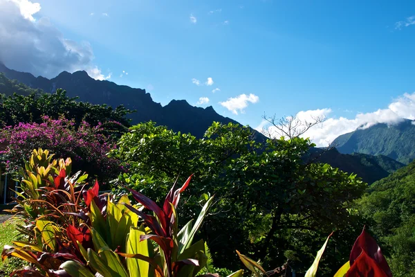 Tahiti island — Stock Photo, Image