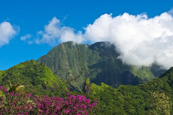 Tahiti-Insel — Stockfoto